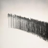 Michael Kenna Gelatin Silver Print, Signed Edition - Sold for $2,080 on 05-02-2020 (Lot 132).jpg